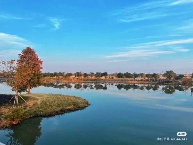 温州秋天的景,温州的秋天
