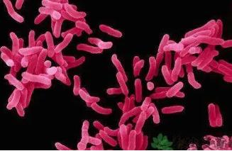 纠正孩子挤眼,儿童健康教育怎么解决