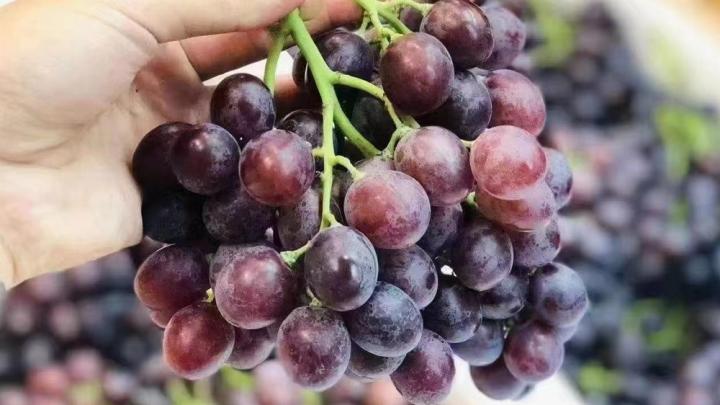 开水果店的全部流程,连锁水果店经营技巧和方法图片