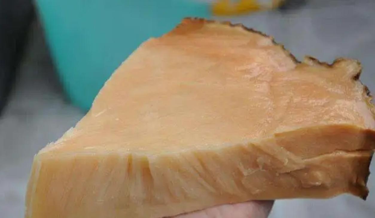 太岁中科院研究,太岁之谜神秘东西