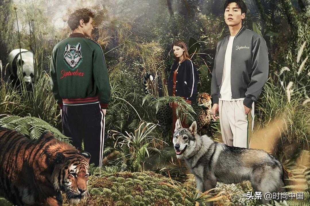 时尚中国丨如果动物会说话，你还会穿上它吗？