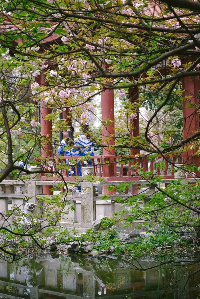 长沙市实验中学素质教育基地,长沙市芙蓉区打造幸福教育升级版
