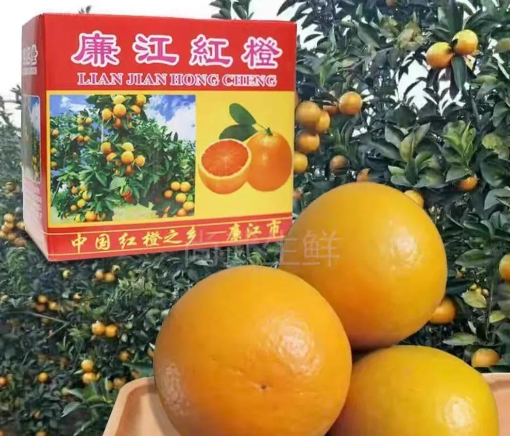 广东湛江一年四季水果名单,湛江特色水果介绍