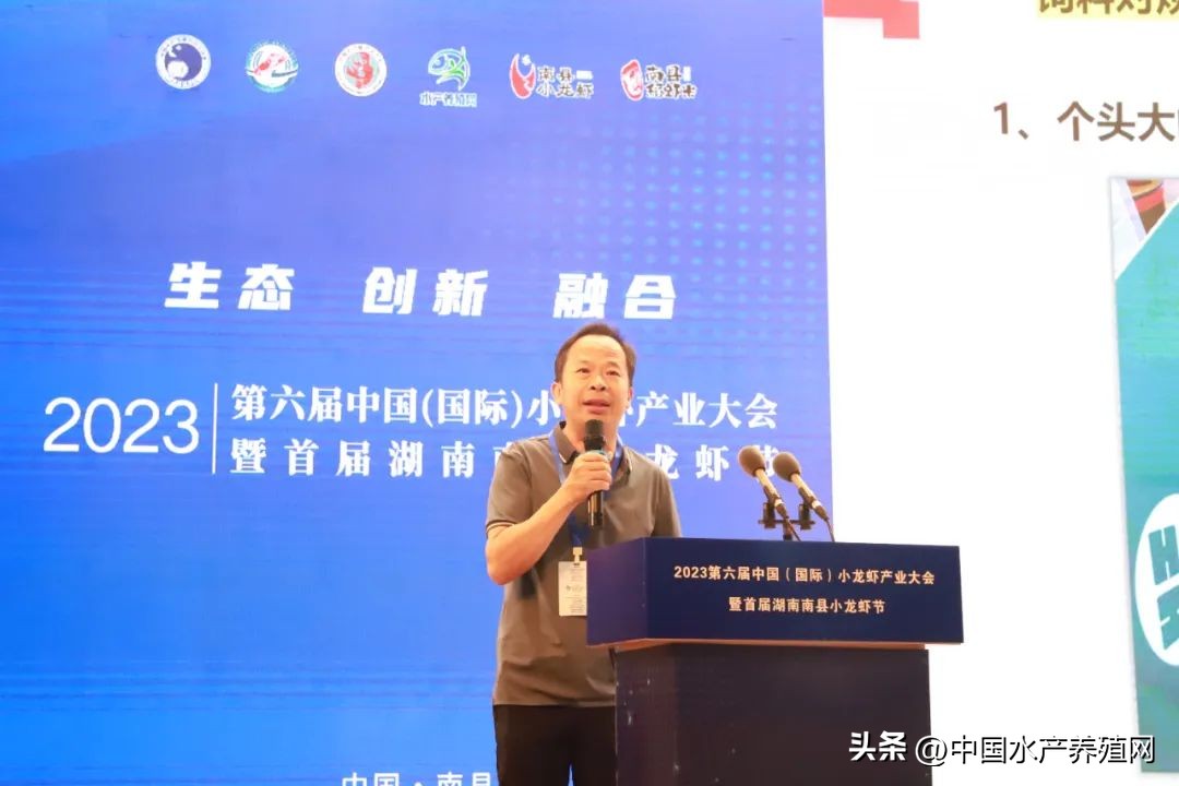 2023年南县小龙虾价格行情,南县小龙虾价格报价