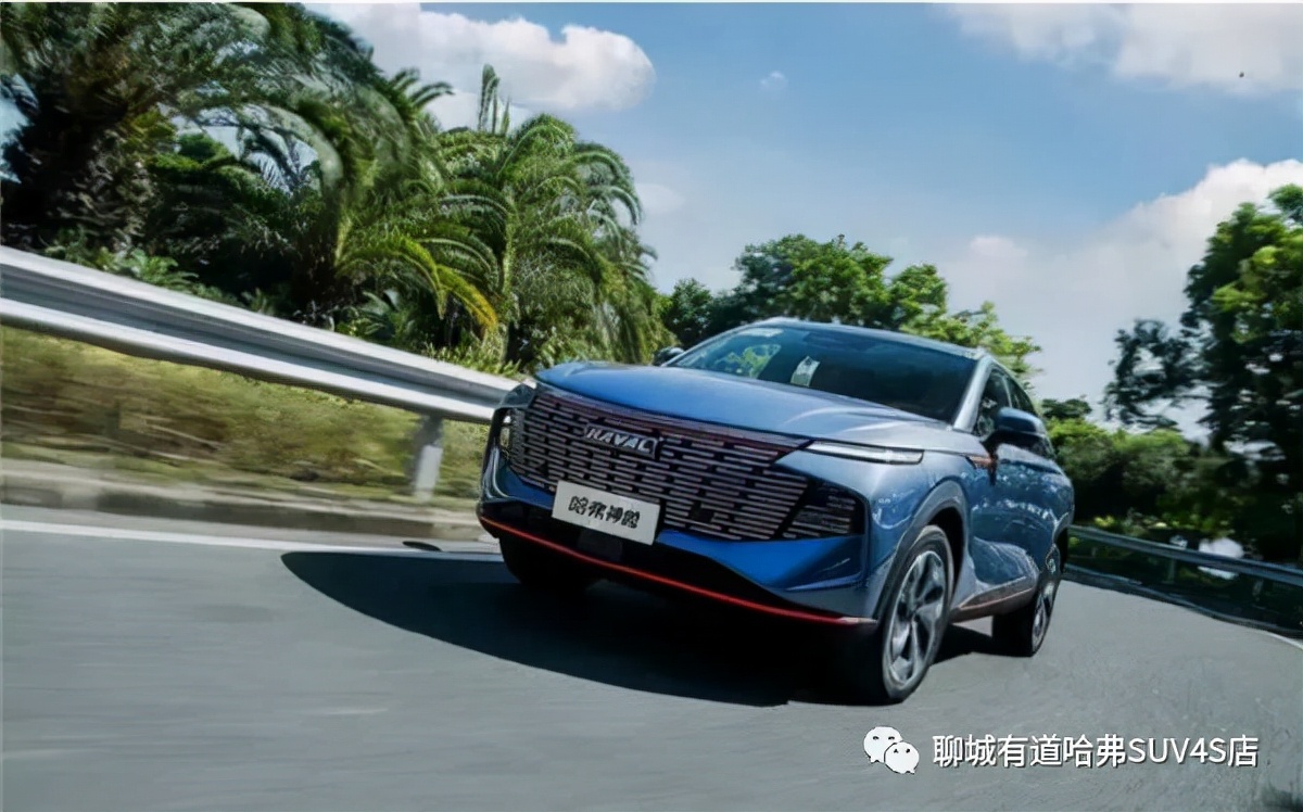 哈弗神兽集中交车--聊城有道站