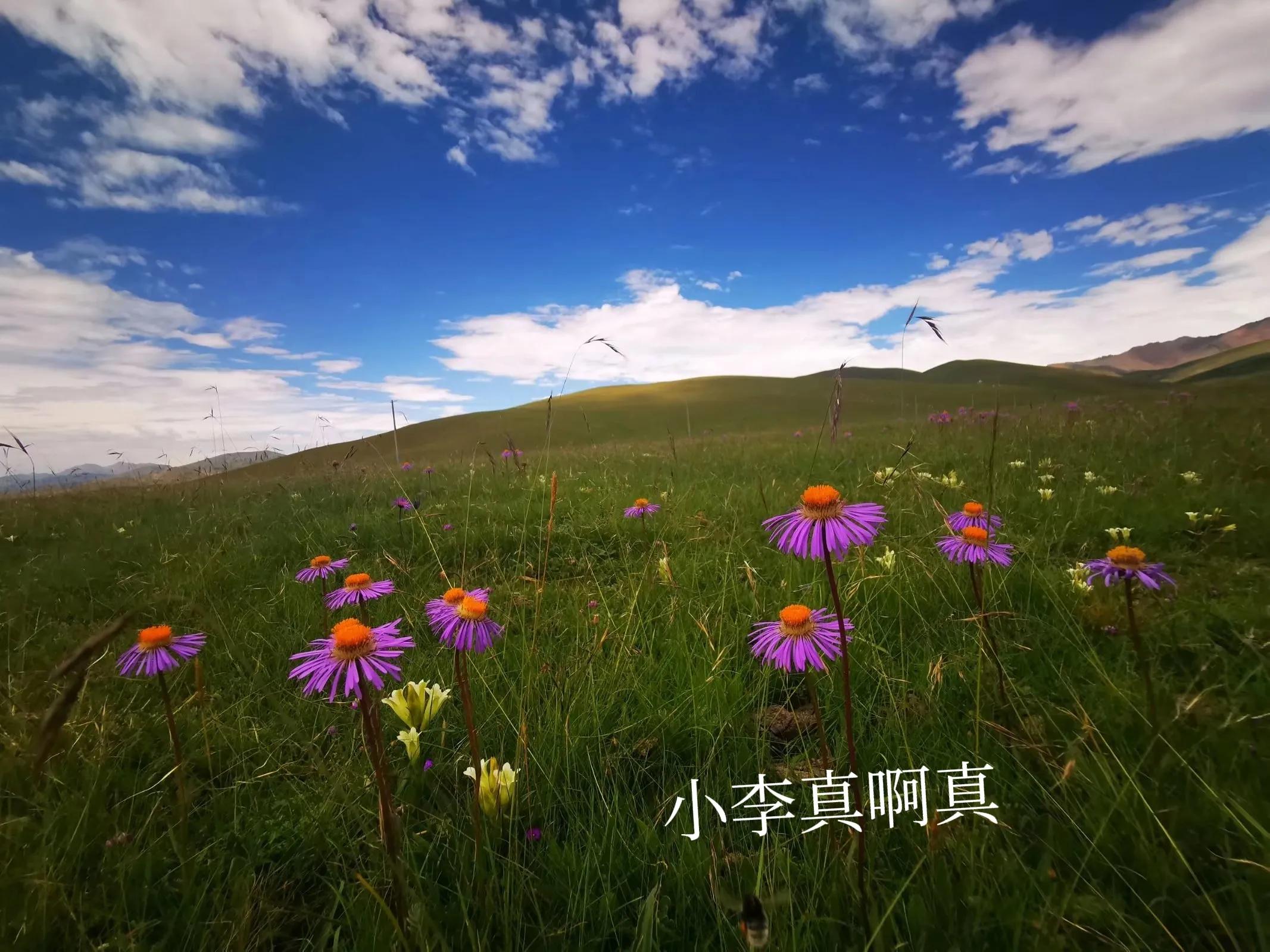 青海跟团游为什么不包餐,什么人不建议去青海旅游