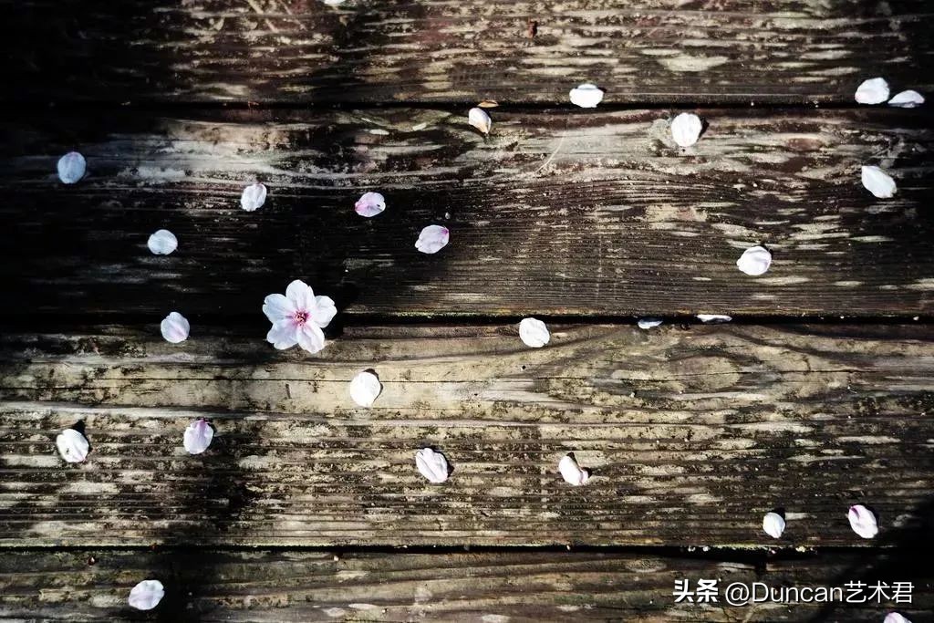 成都群光君悦酒店测评,成都群光君悦酒店价格