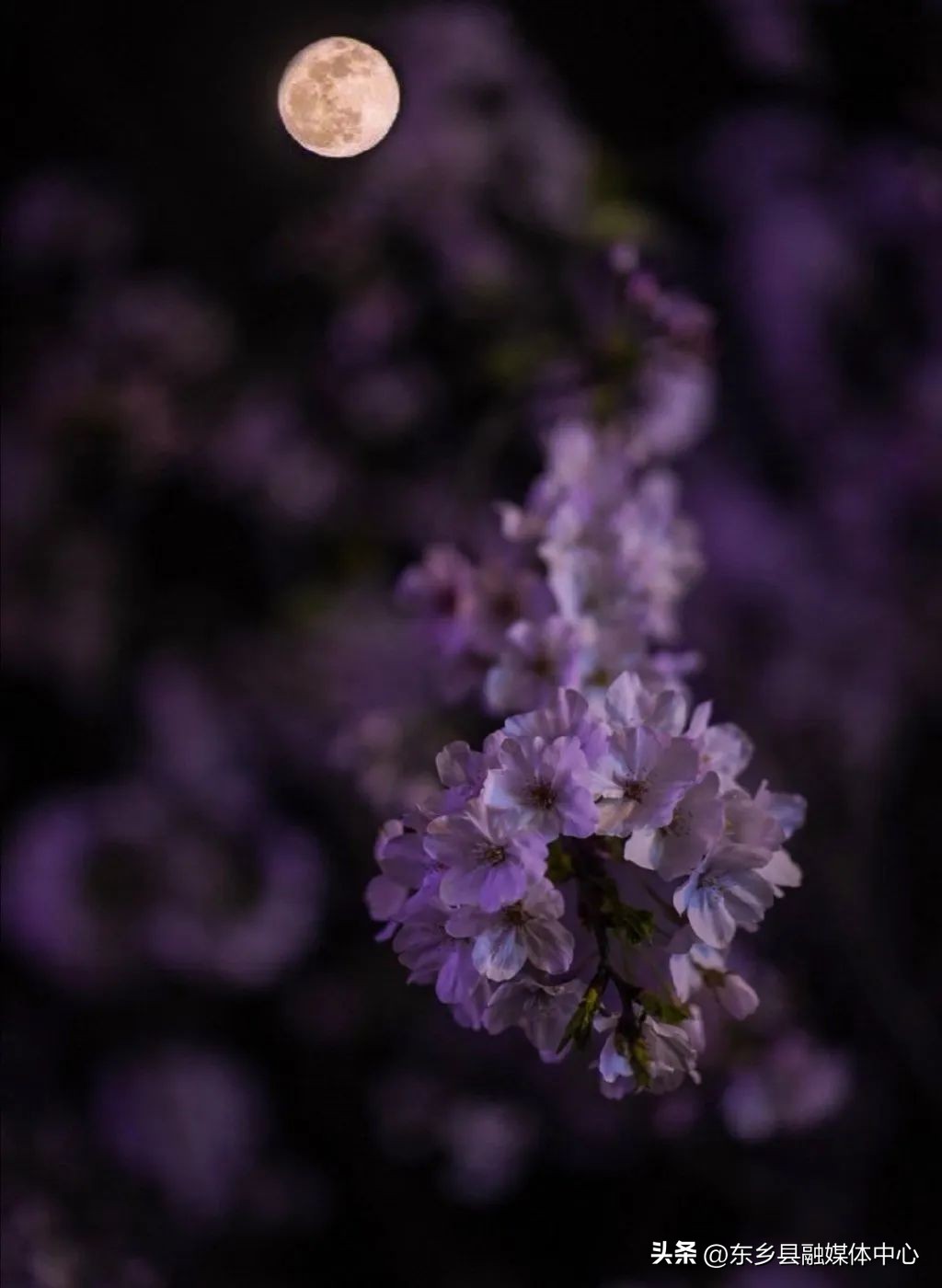 秋天丰收的雅称大全,秋天的雅称有哪几种