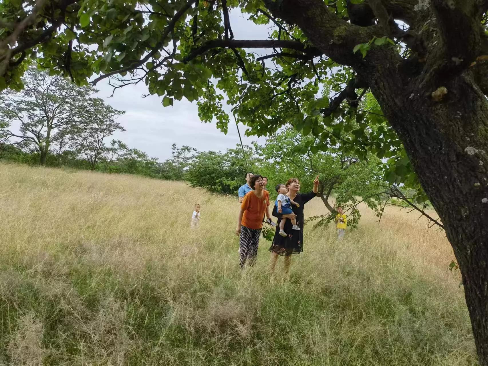 舅舅家的亲戚,舅舅家是谁的家