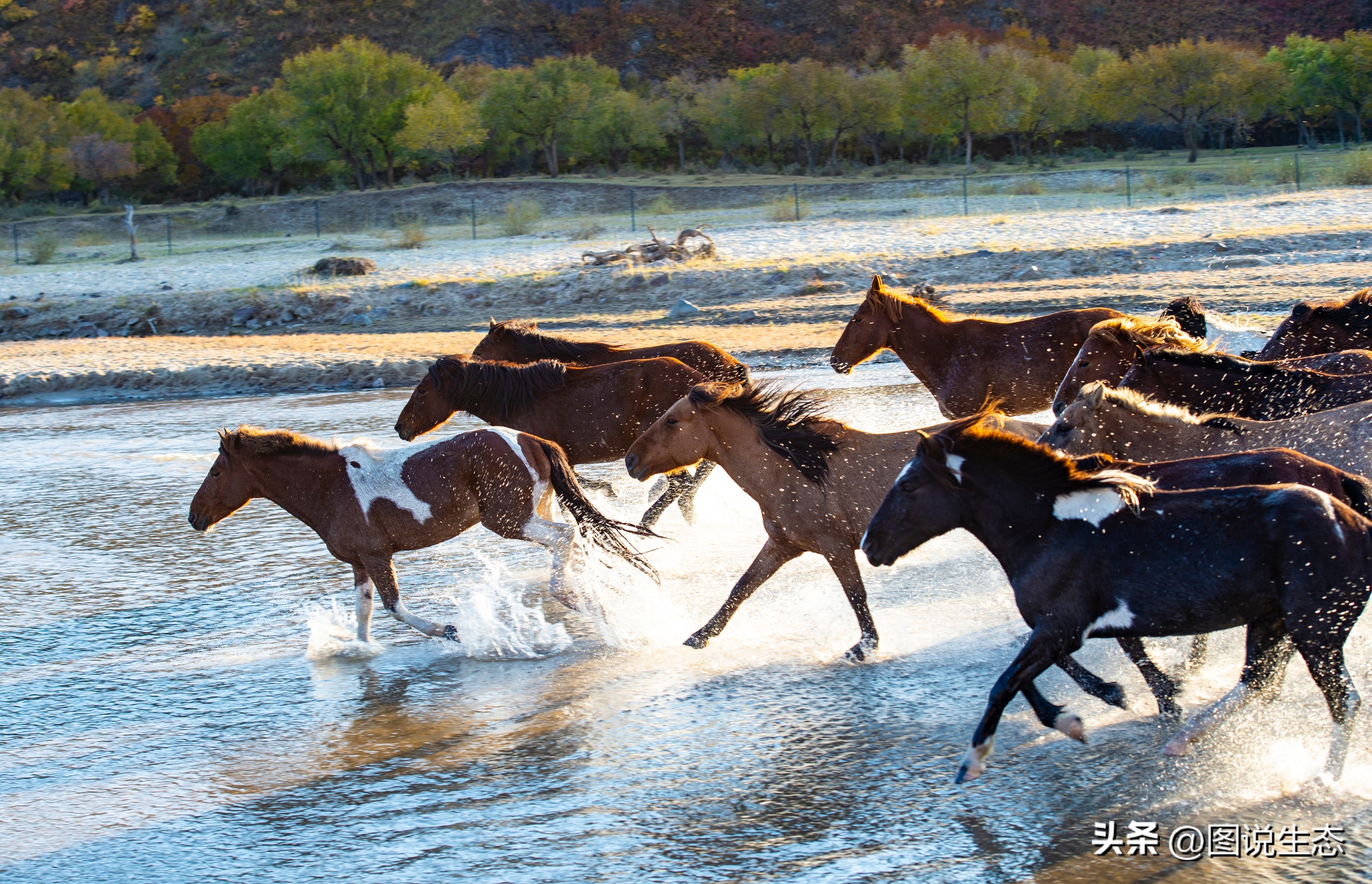 坝上草原游玩的好去处,锡林郭勒大草原和丰宁坝上