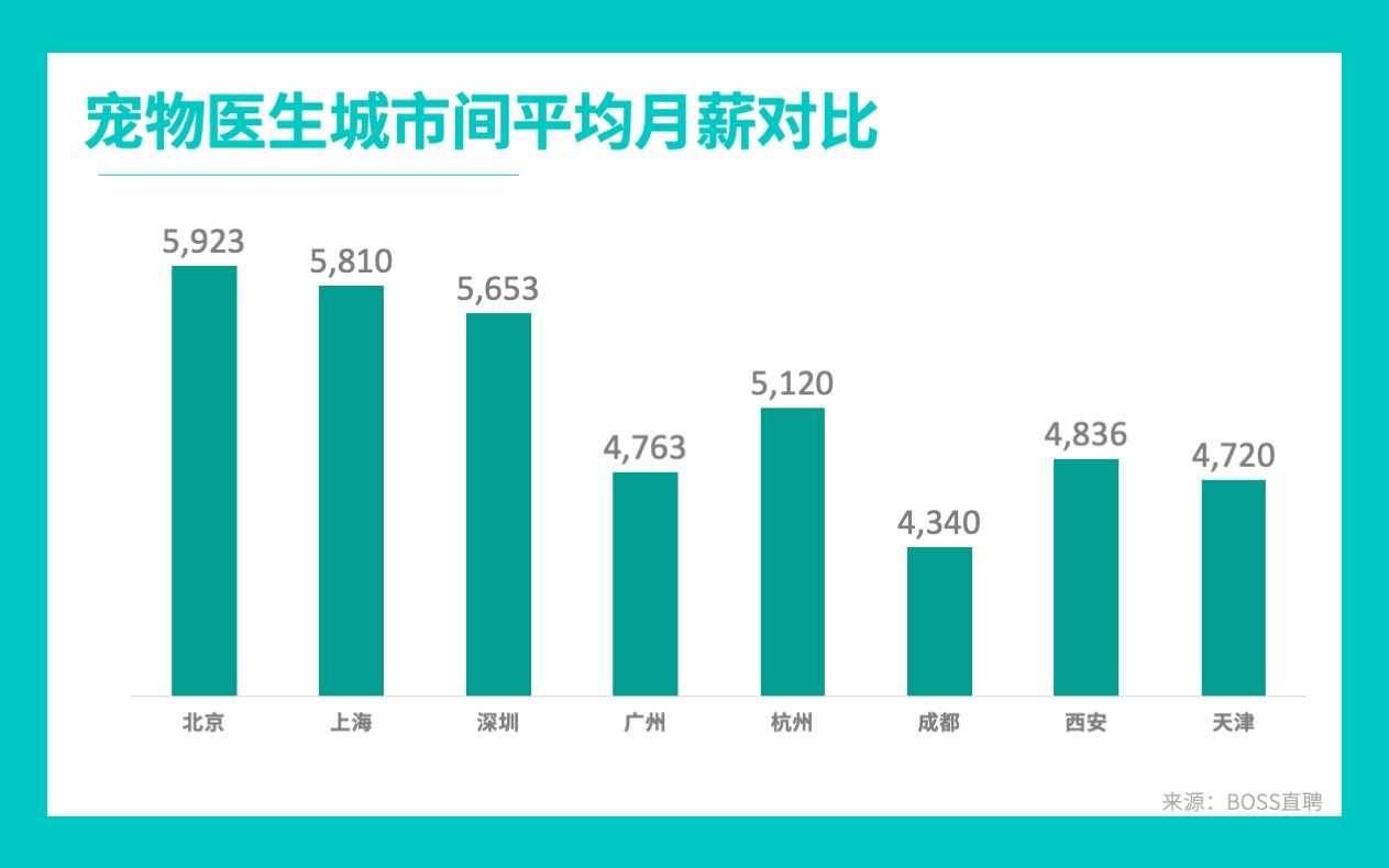 宠物医生一般去哪里就业,宠物医生高收入有哪些