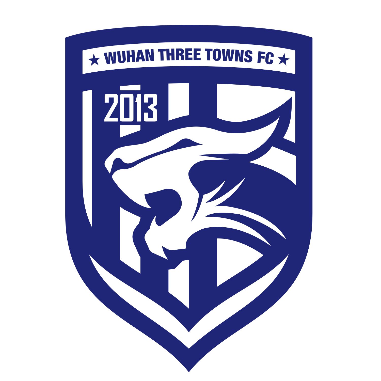 武汉双雄中超,武汉两支中超球队