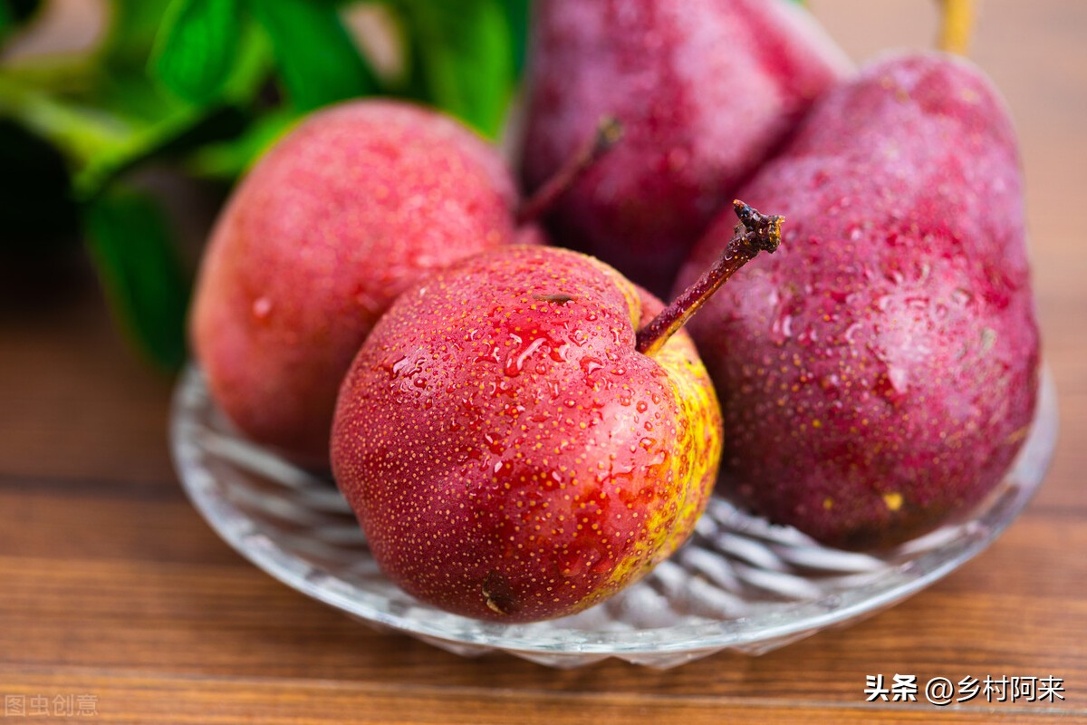 梨农村品种,农村最常见的梨子品种