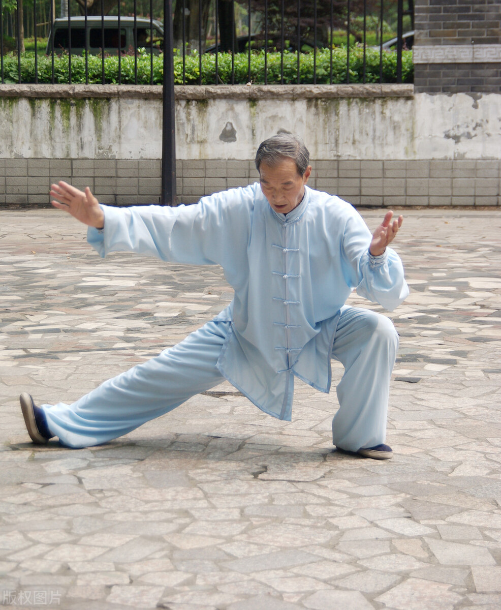 中国武术门派十大排名,中国武术流派