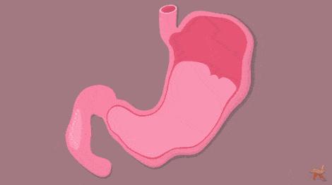 饭后经常腹胀腹痛肚子咕咕响,饭后腹胀拉肚子是什么原因引起的