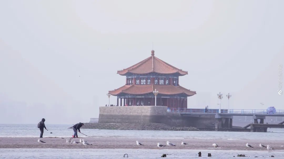 四月来青岛不可错过的打卡地,青岛绝美打卡点