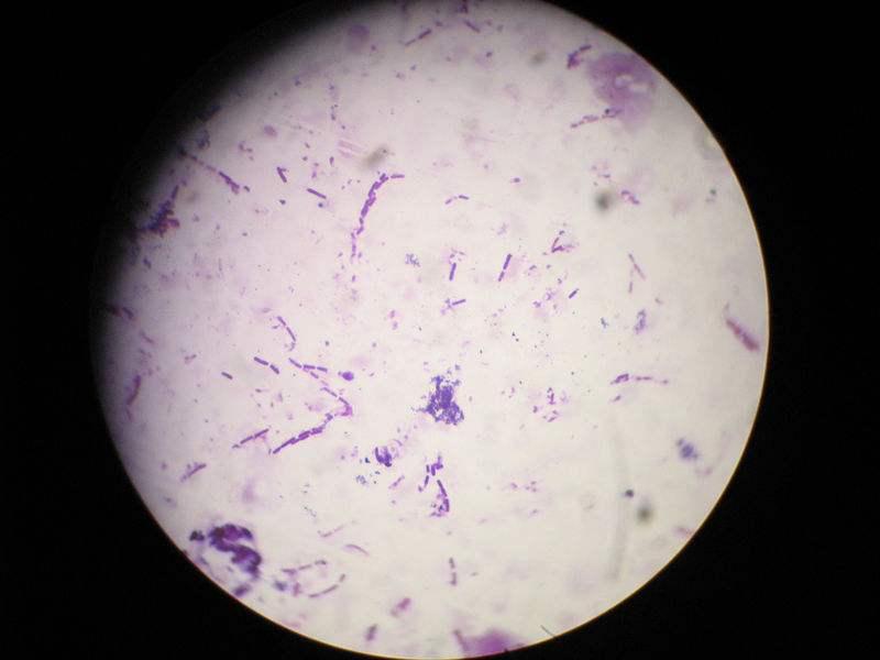 女性私护健康品,女人私护护理用品