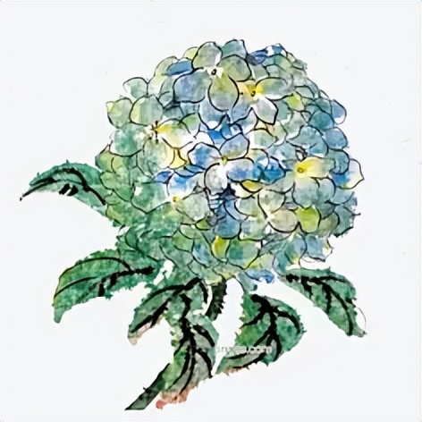 如何学说话和提升情商,如何学国画写意花鸟作品