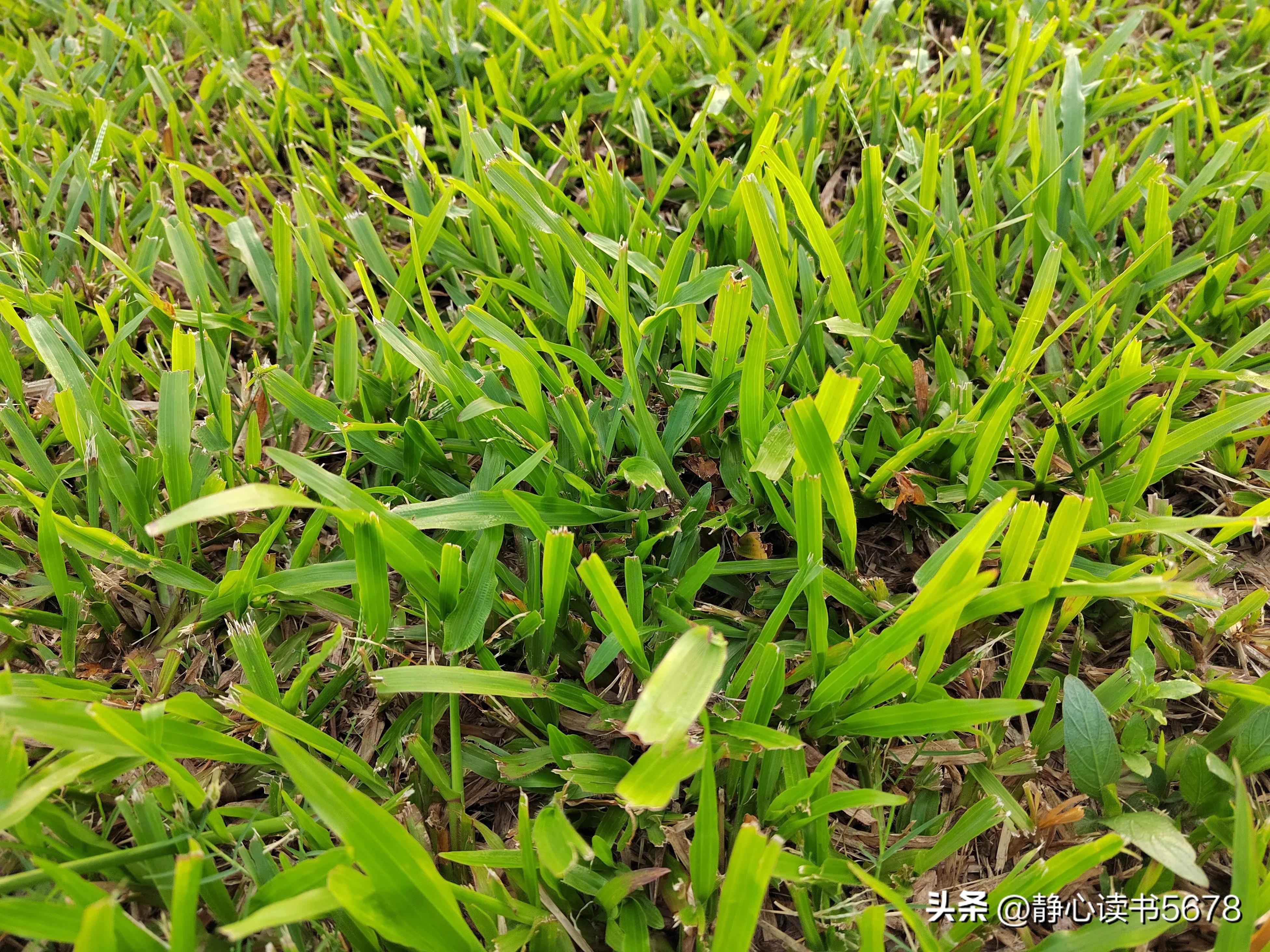 做生意悟出来一个道理,冯仑说做生意求人