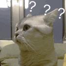 脚背及脚踝疼痛见于哪些疾病,脚踝外侧面疼痛警惕大病