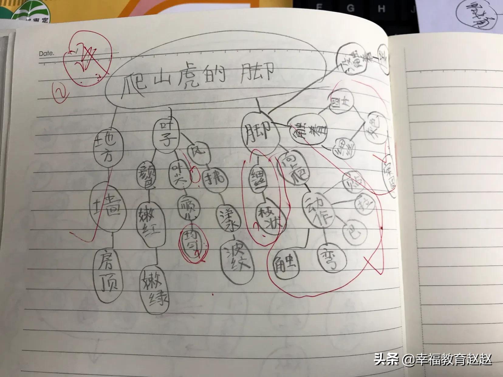 爬山虎的脚思维导图怎么画图片,爬山虎的脚思维导图绘画过程