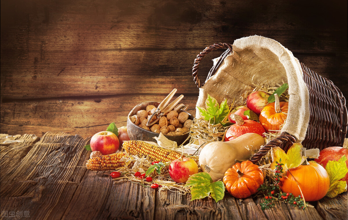 抄书打卡一百天感悟,读书抄书打卡第62天