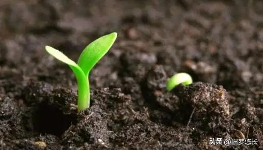 十天干中的甲对应数字是,甲与十天干的关系