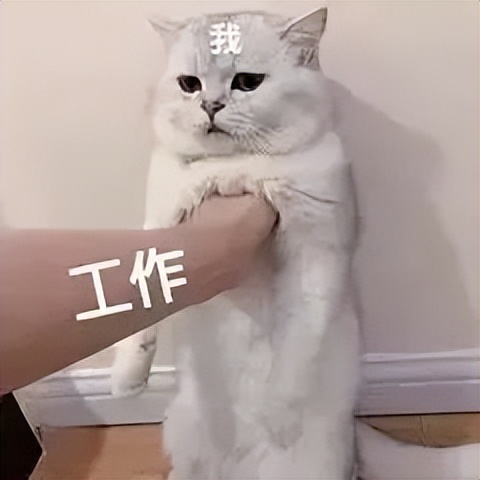 他竟赚了*子骗**40元？！越想越后怕