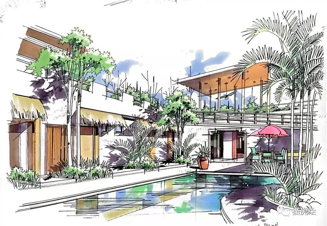 2022猫虎绘暑假手绘班招生简章「线上+线下」