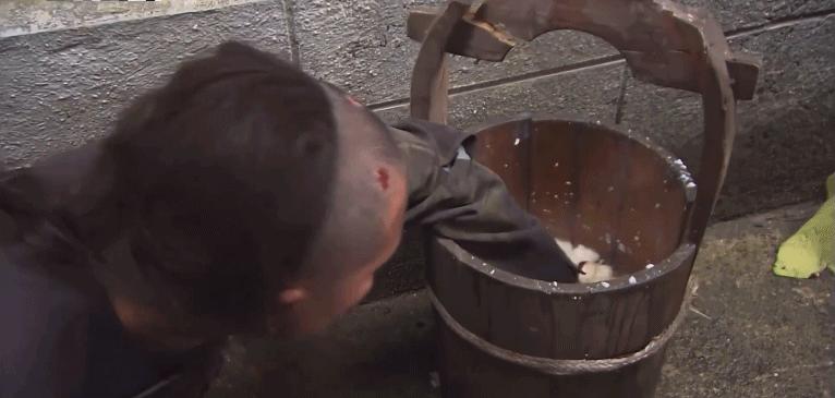 香港电视剧流金岁月评价,香港流金岁月经典片段