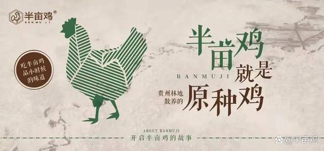 土鸡独特之处,土鸡的认识方法和技巧