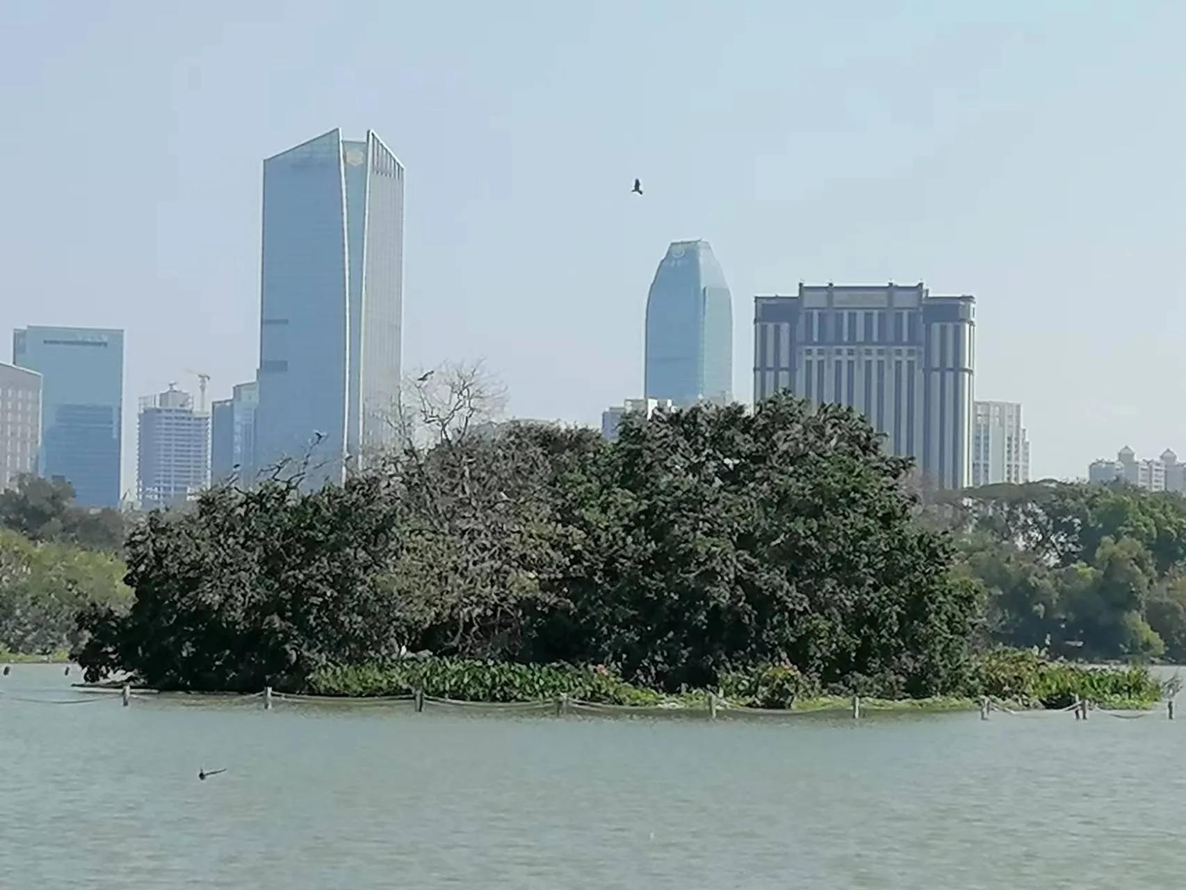 美丽的鸟岛简介,美丽的鸟岛