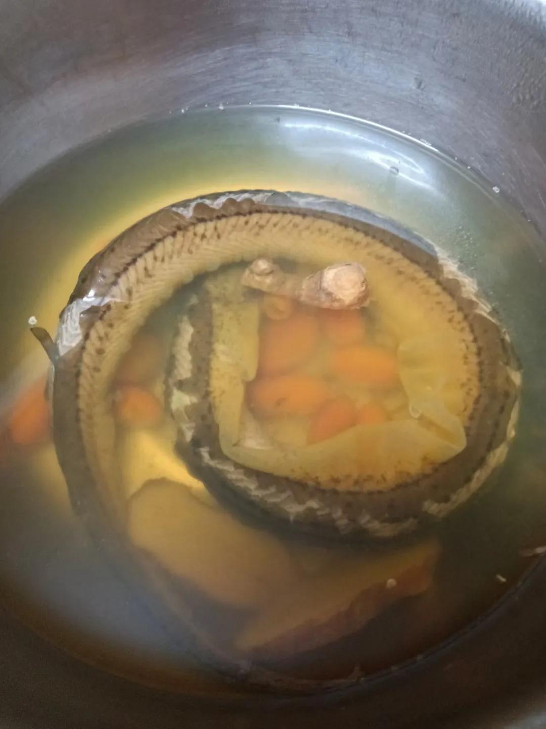 江西清炖野生黄鳝的做法,黄鳝最正宗的做法