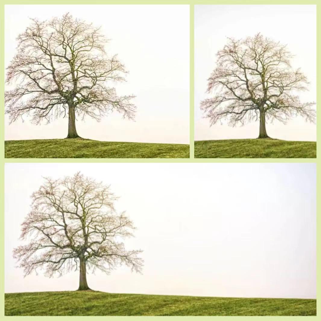 一部知识分子的“精神传”——长篇风情小说《猫鼠传》浅析