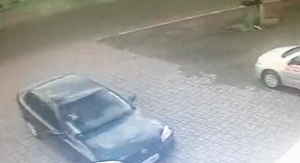 真实大象图片大全可爱,真实野生大象图片