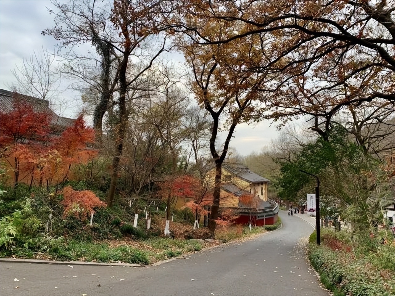 南京秋天旅游景点攻略,秋天南京旅游必去的景点