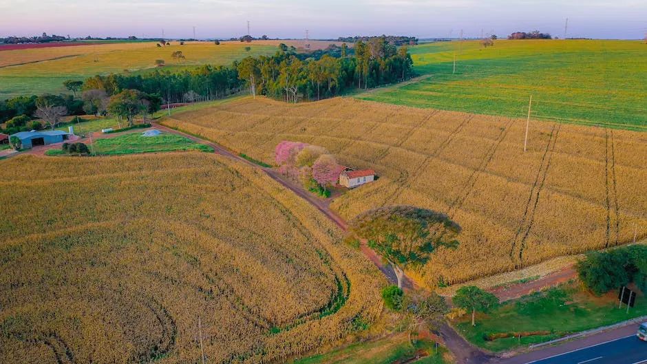 现在十大挣钱行业怎么赚钱最快,30个赚钱行业大汇总教你快速致富