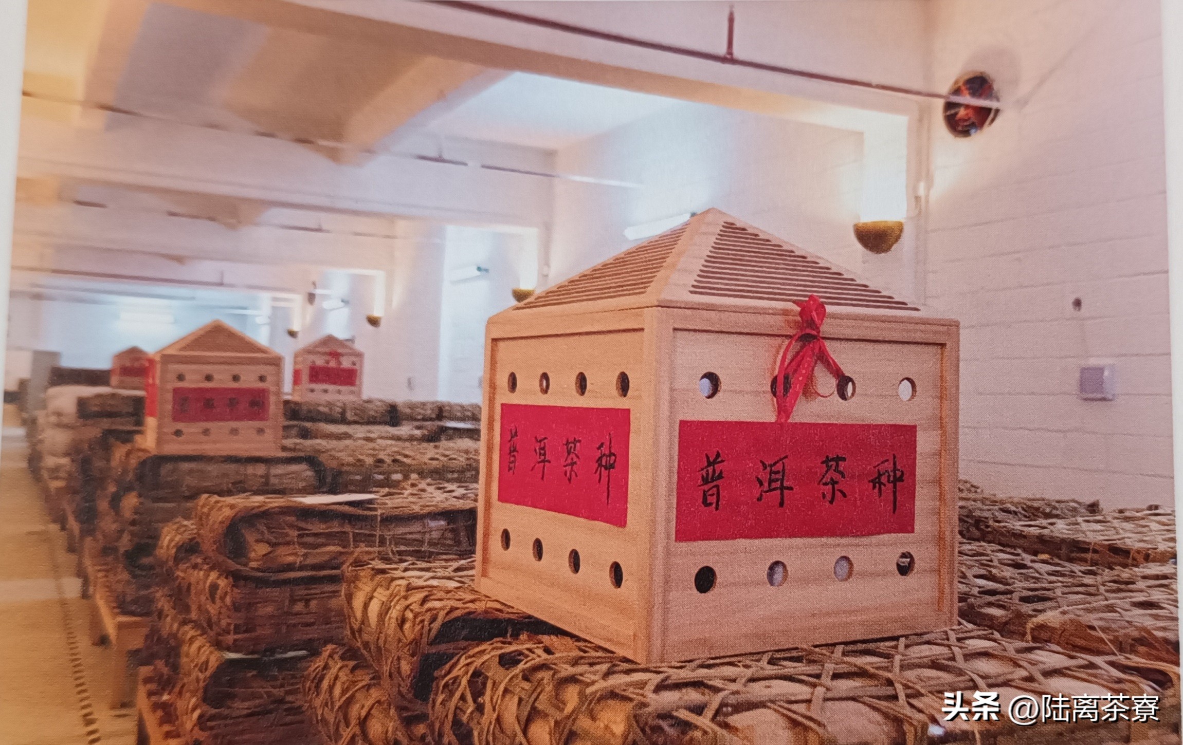 陈永堂与双陈普洱：深耕仓储，野望未来