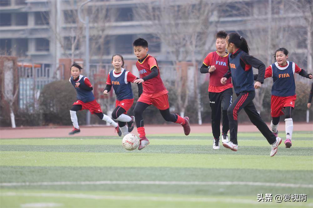 槐荫区大金小学和烟台路小学,济南市槐荫区大金小学怎么样