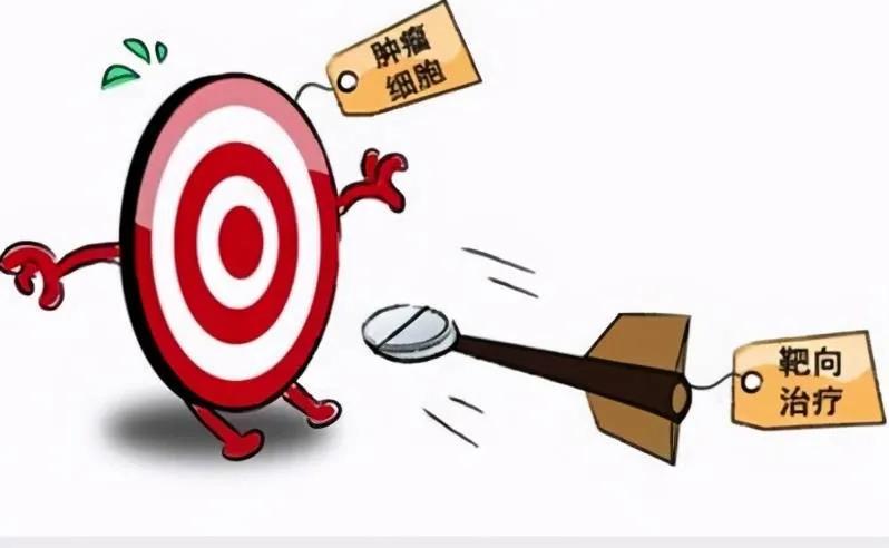 靶向药与中药能一起吃吗,靶向药加中药联合治疗