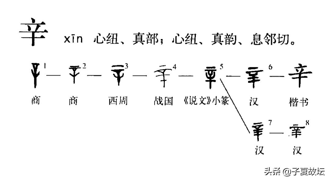天干十个字的意义,十天干每字代表什么意思