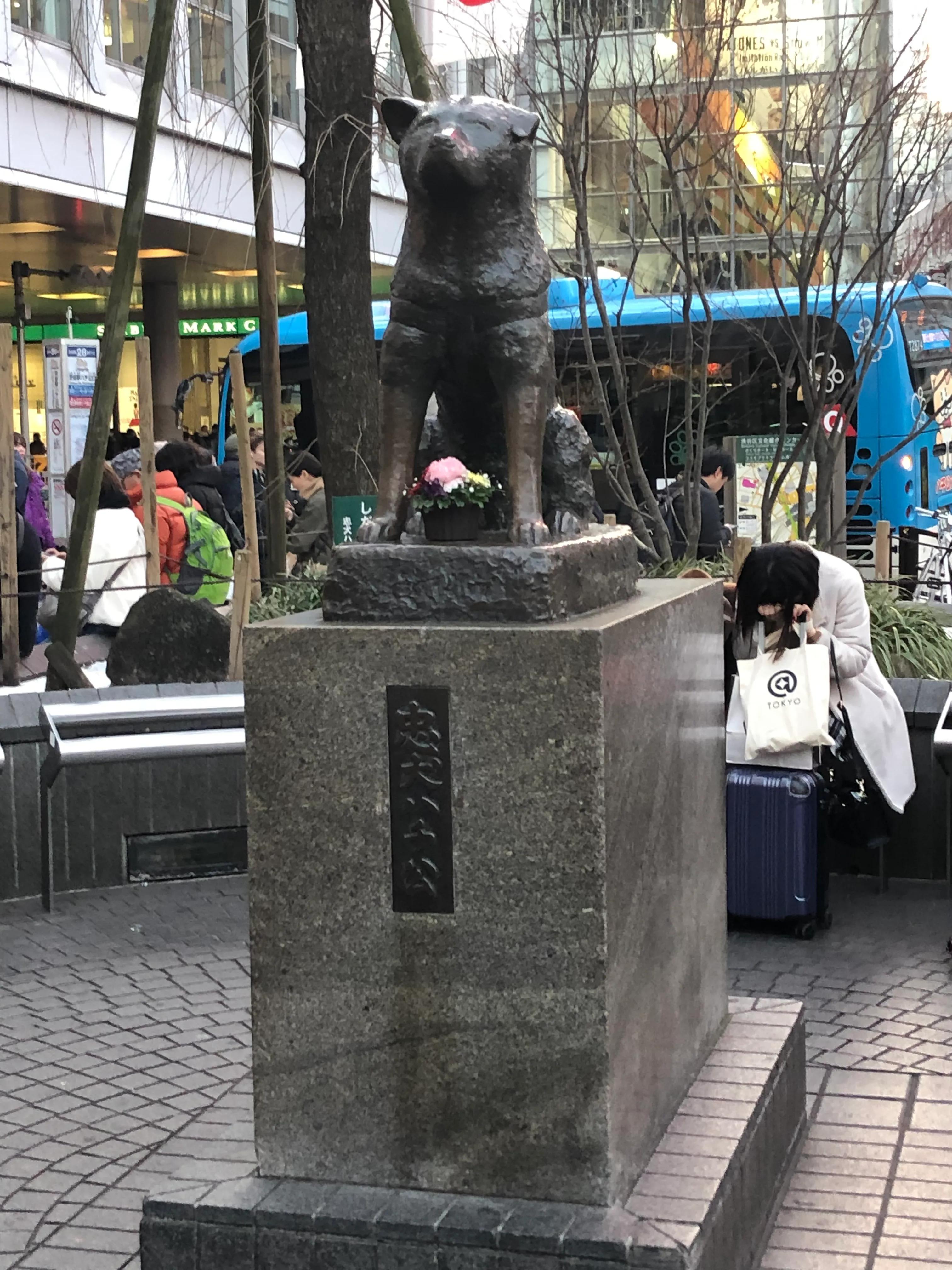 一次旅行的经历英语版,日本旅行攻略超详细篇