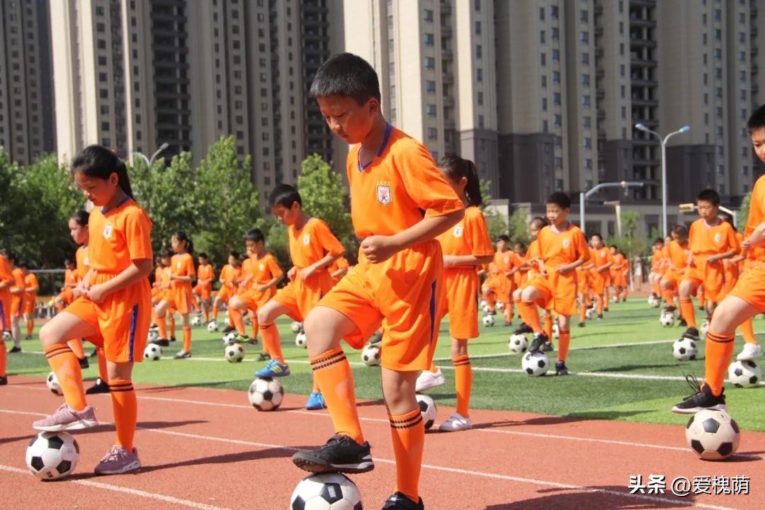 槐荫区大金小学和烟台路小学,济南市槐荫区大金小学怎么样