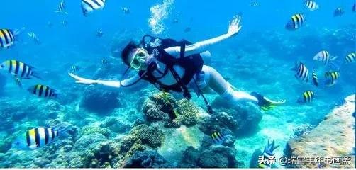 西岛为什么叫玳瑁,海南玳瑁西岛