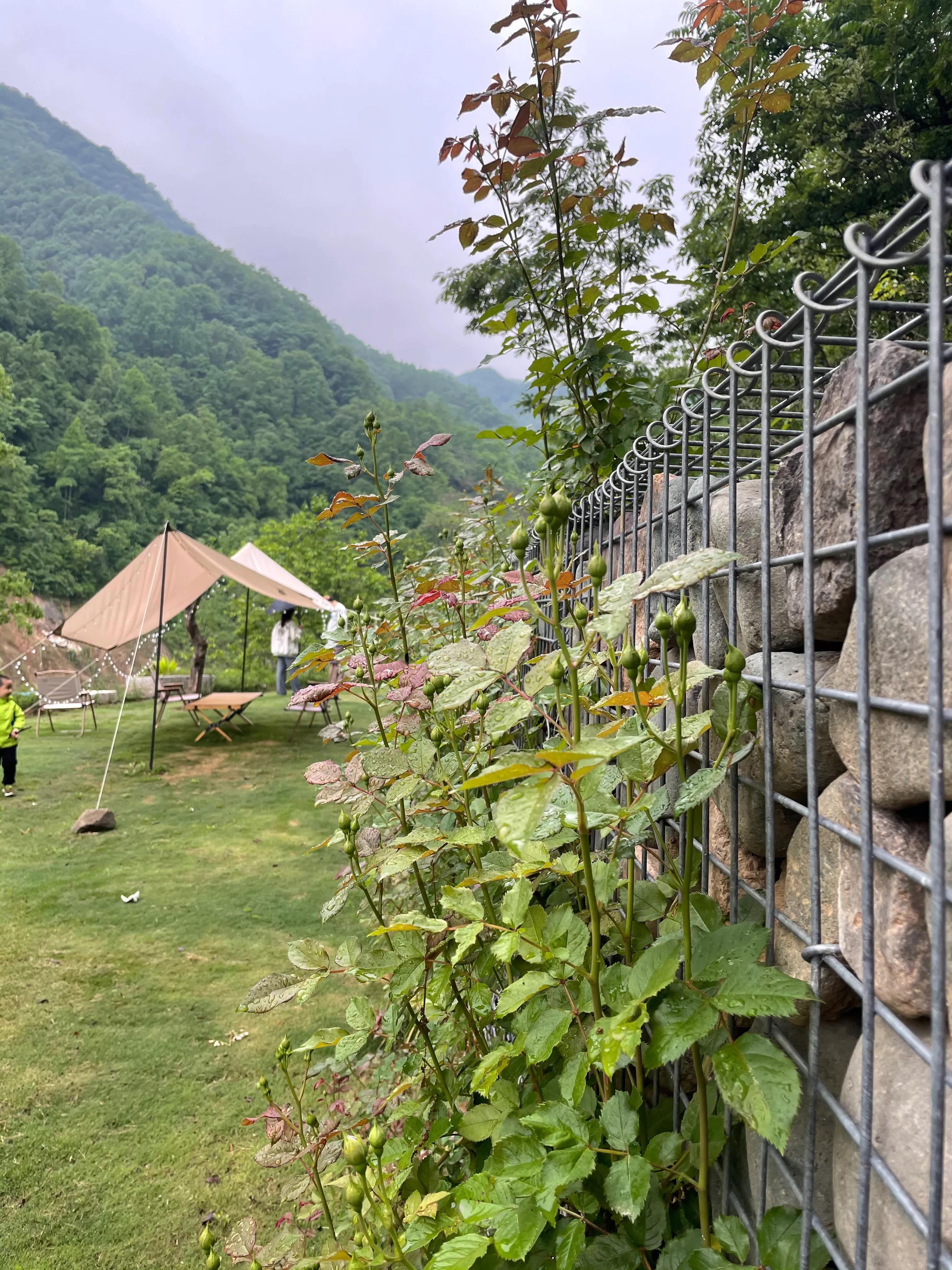 4a级旅游景区,4a级旅游景区有哪些