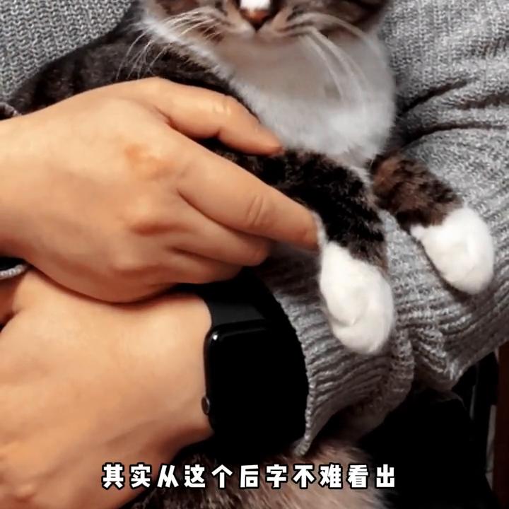 后端服务器开发,前后端开发流程