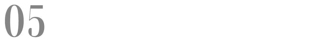 进口冻干犬粮推荐,德国最好的进口犬粮