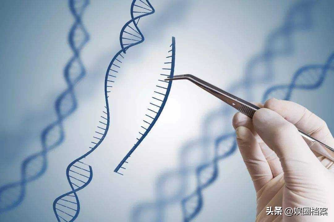 探究东部黑犀牛，激素代谢物和卵巢周期阶段肠道中微生物群的反应