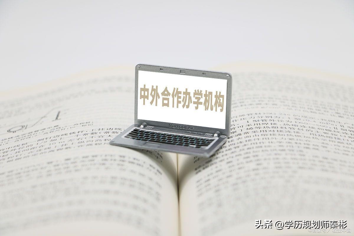 中外合作办学有哪些优势和劣势,中外合作办学比较好的有哪些