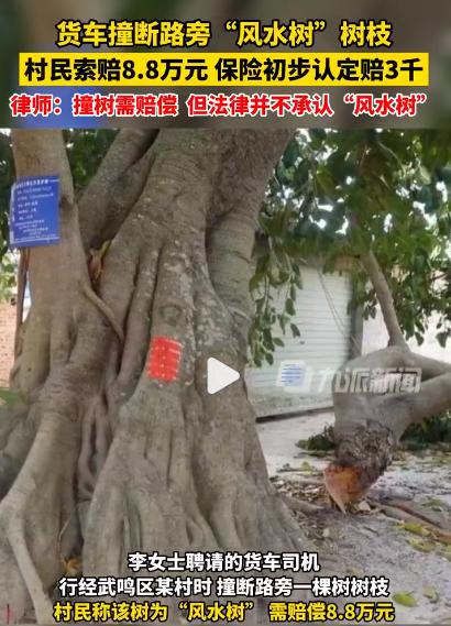 高校谈男生盗照片造谣,法治热点早知道罪大恶极